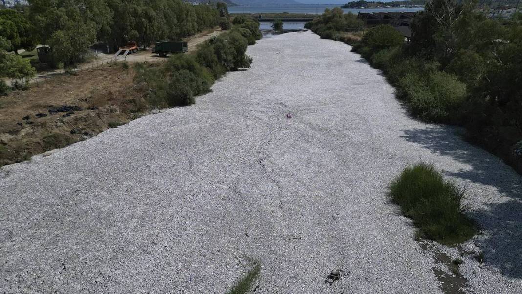 Sahil kentinde korkunç manzara: Ciddi tehditle karşı karşıyayız! Önlem alınmazsa turizme darbe vurabilir 10